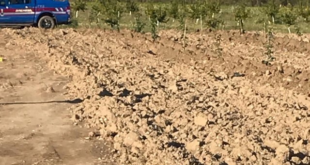 Serik'te Arazi Kavgası: 2 Ölü, 1 Yaralı