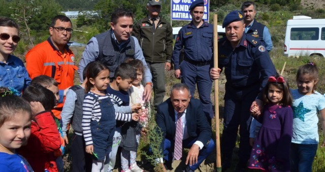 Jandarmadan Fidan Dikimi