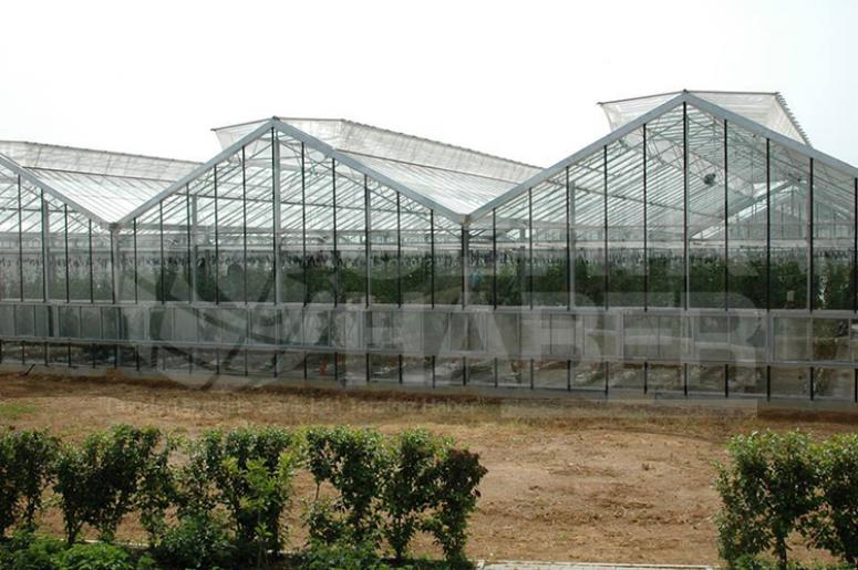 Sera modernizasyonuna sıfır faizli kredi desteği