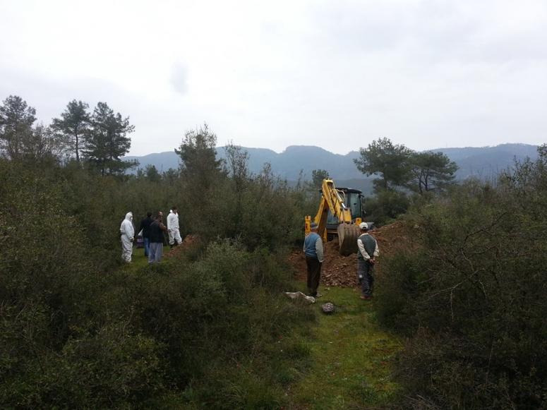 Tarım Müdürlüğü Karantinaya Aldı