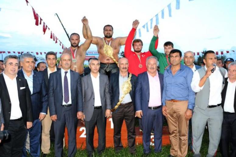 Aksu Pehlivanı Yeşil Yeşil