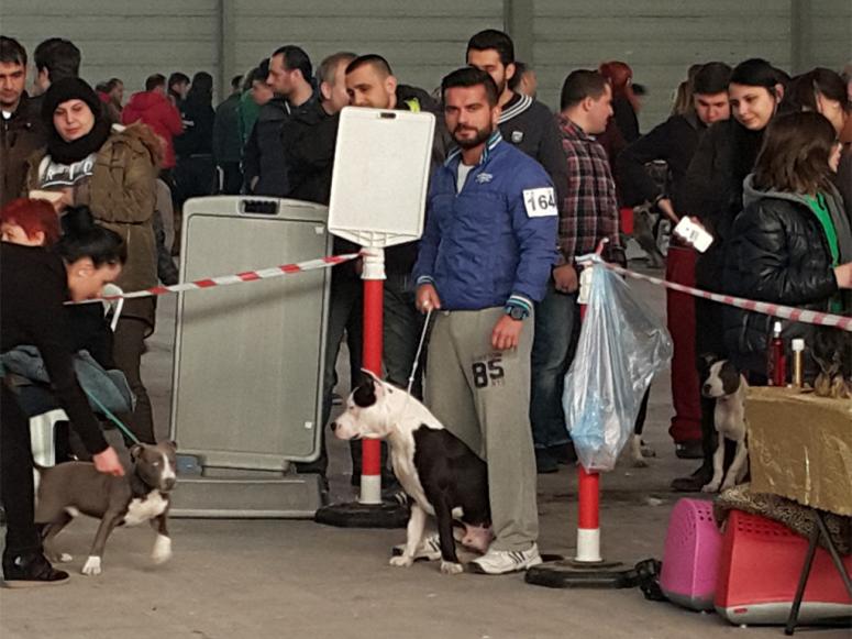 İzmir Yarışları Şampiyonu “Body StaffTürk”