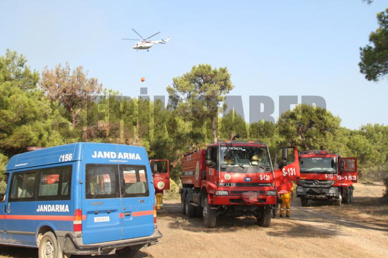 Denizkent'te Orman Yangını Korkuttu