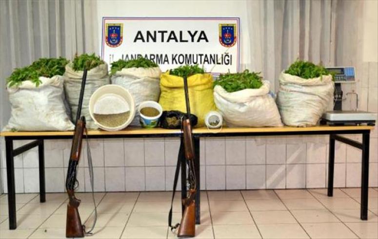Jandarma’dan Seraya Uyuşturucu Baskını
