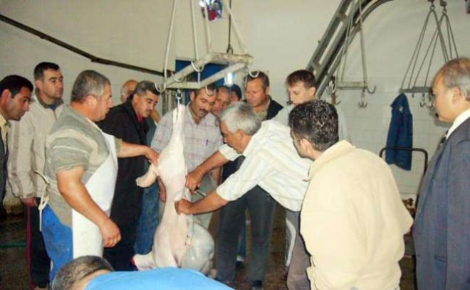 SERİK HALK EĞİTİM'DEN KURBAN KESİM KURSU