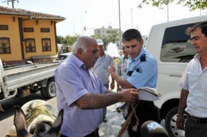 MUHTAR ŞİMŞEK'TEN AK PARTİ İL BAŞKANLIĞI ÖNÜNDE EŞEKLİ PROTESTO