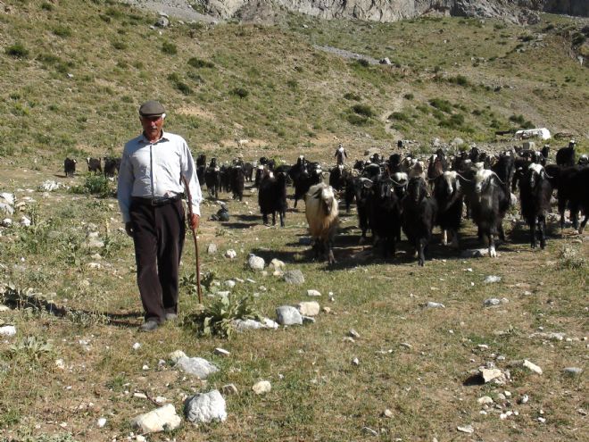 TOROSLARDAN BİR KARA ÇADIR DAHA EKSİLİYOR