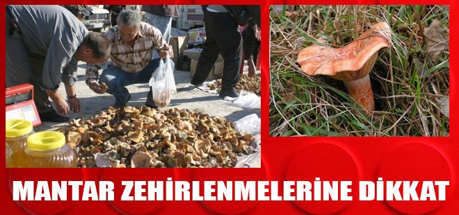 MANTAR ZEHİRLENMELERİNE DİKKAT