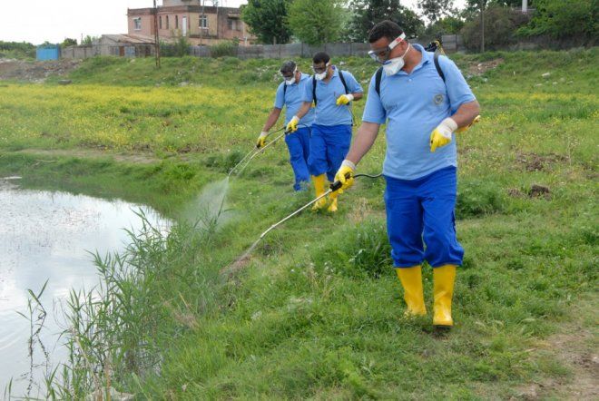 ÇALIK; DAHA TEMİZ ve SİNEKSİZ BİR SERİK GÖRECEKSİNİZ