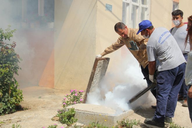 SERİK BELEDİYESİ İLAÇLAMADA HIZ KESMİYOR