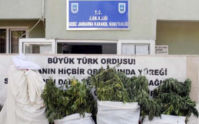 JANDARMA DOMATES FİDELERİ ARASINDA ESRAR YAKALADI