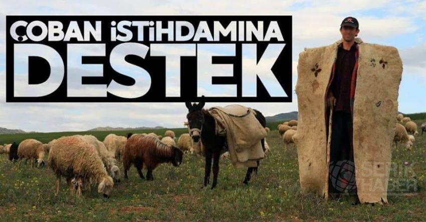 Çobanlara Destek