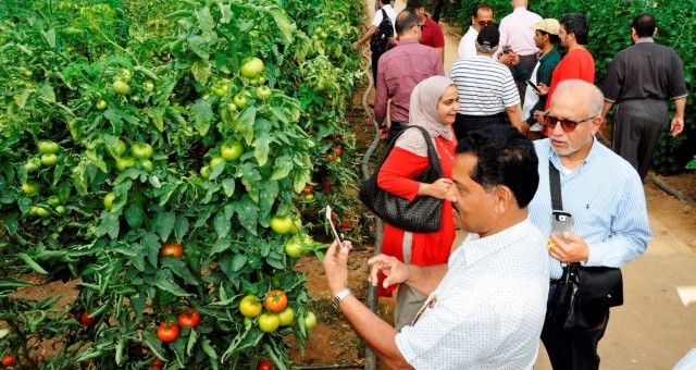 Uluslararası Yaş Sebze Ve Meyve İhracatçıları Zirvesi Serik’te Başlıyor