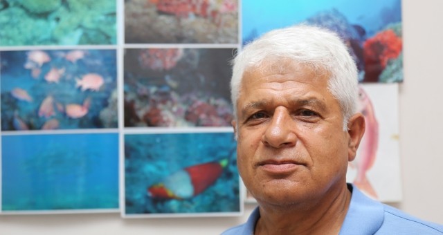 Akdeniz'i 'İşgal Eden' Balık Türü 63'e Çıktı