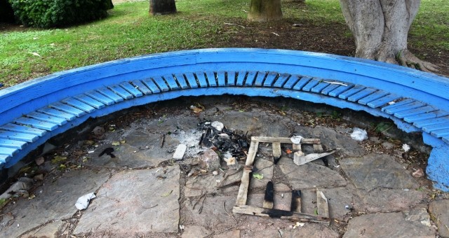 Parkta Yavru Kediyi Yakarak Öldürdüler