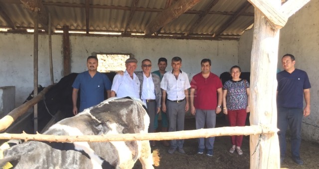 Şap Aşılama Kampanyası Akbaş Mahallesinde Başlatıldı.