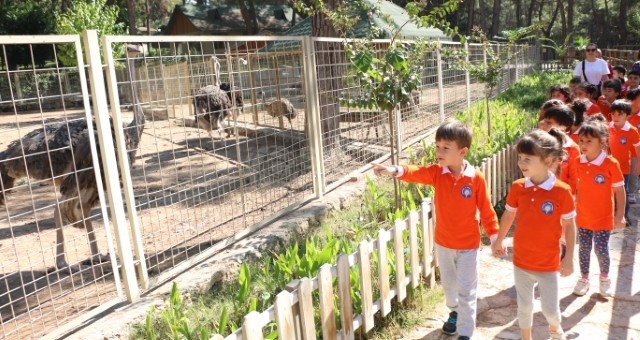 Miniklerden sevimli dostlara ziyaret