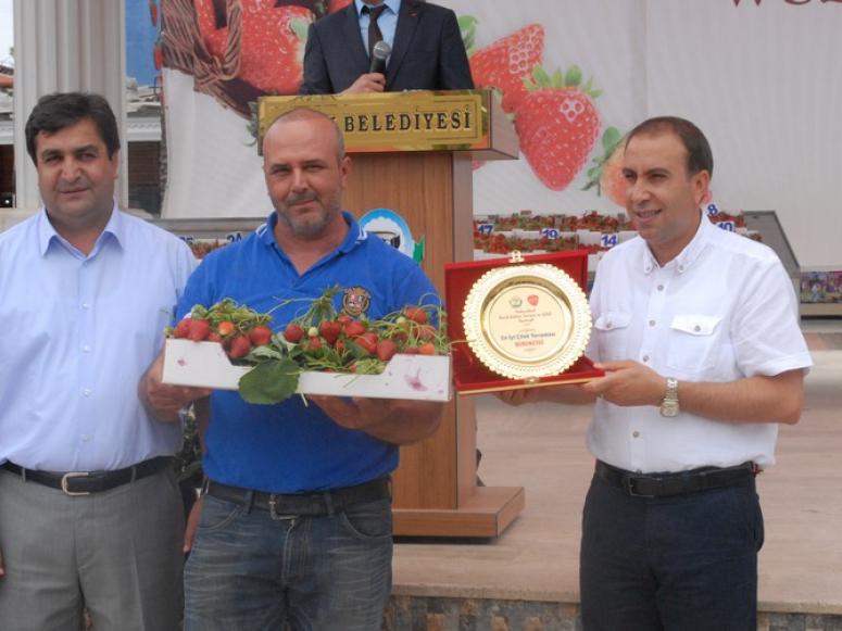 Festival’de En İyi Çilek Üreticileri Ödüllerini Aldı