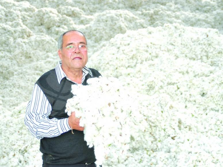  Pamukçuluk Yeniden Gözde Olacak