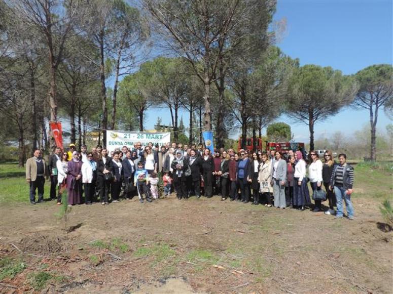 500 Fıstık Çamı Toprakla Buluşturuldu