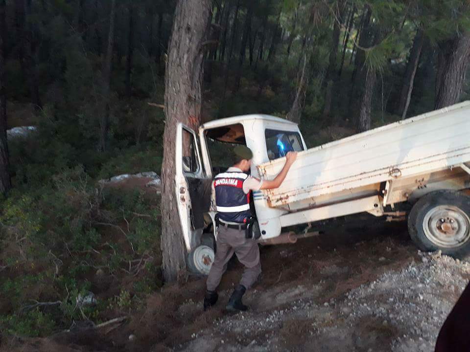 Ağaca Vurarak Duran Kamyonet'te: 4 Yaralı