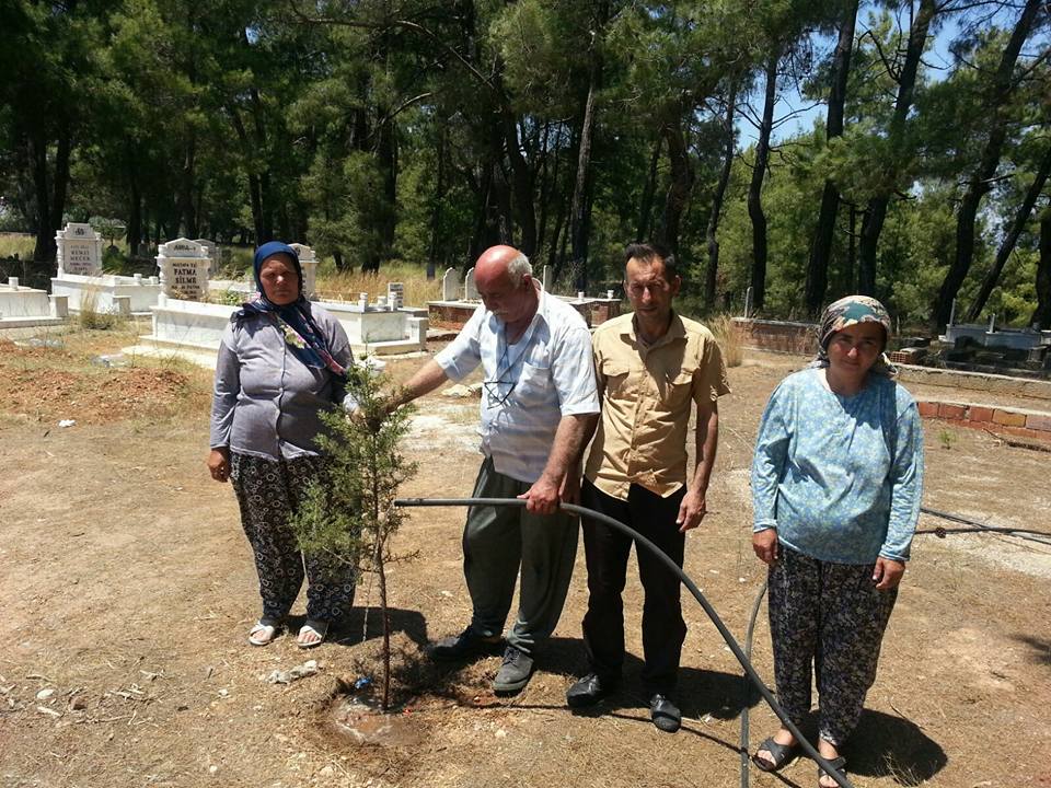 Yunuslar Mezarlığı Bakımsızlıktan Ağaçlar Kurudu