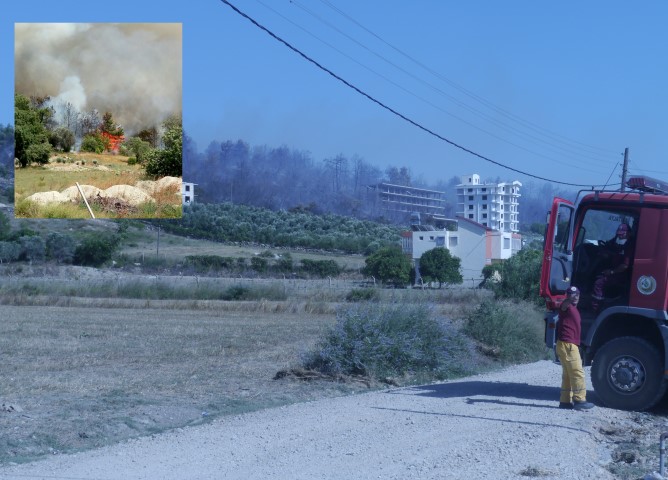 Manavgat’ta 5 Hektar Orman Yandı