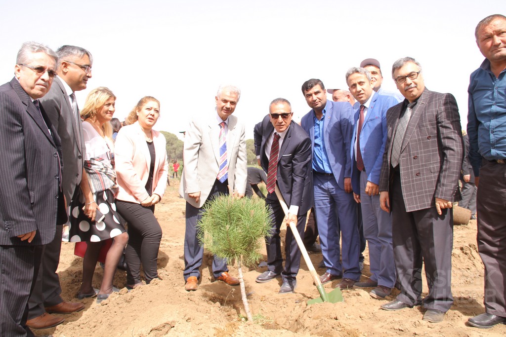 Kundu’da 3500 fidan toprakla buluştu