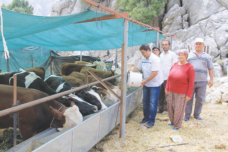 Çömezoğlu’ndan Hayvan üreticisine ziyaret