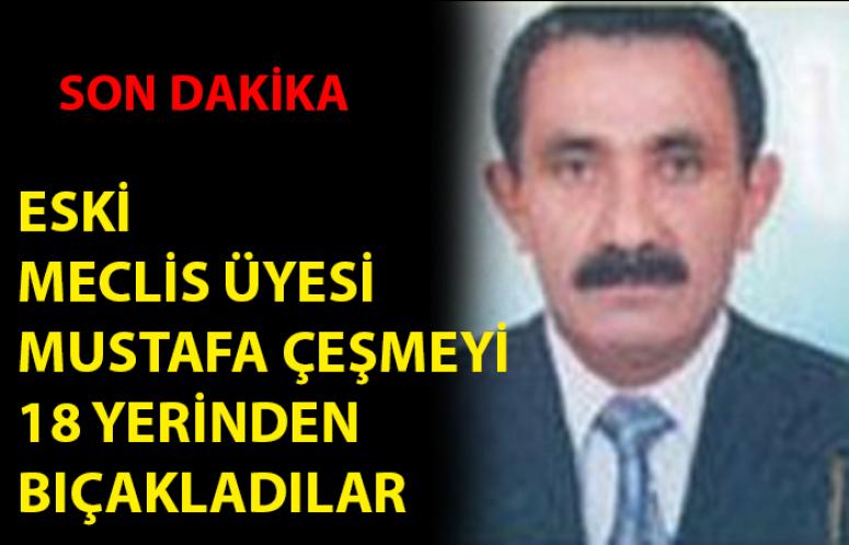 Eski Meclis Üyesini 18 yerinden bıçakladılar